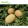 Ananas golden vegetable hybrid F1 white melon seeds